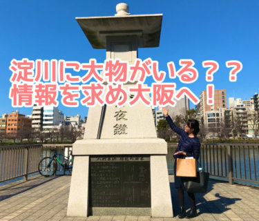 淀川に大物がいる？！情報を求め大阪へ
