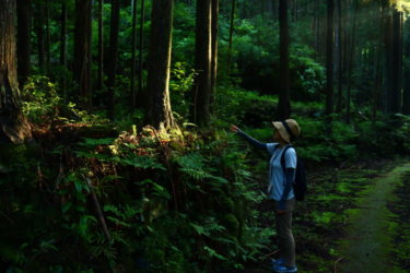 オカルトな熊野古道　大雲取越え・小雲取越えの魅力